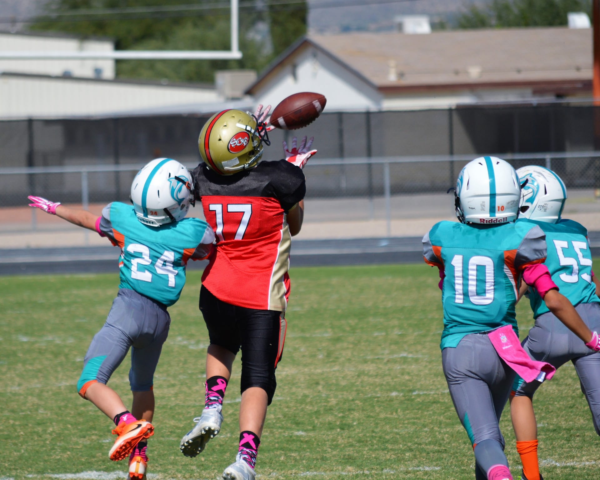 YOUTH FOOTBALL PLAYOFFS 11U Dolphins advance with win over 49ers